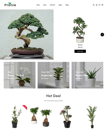 园艺与室内植物响应式