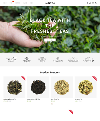 有机茶叶店